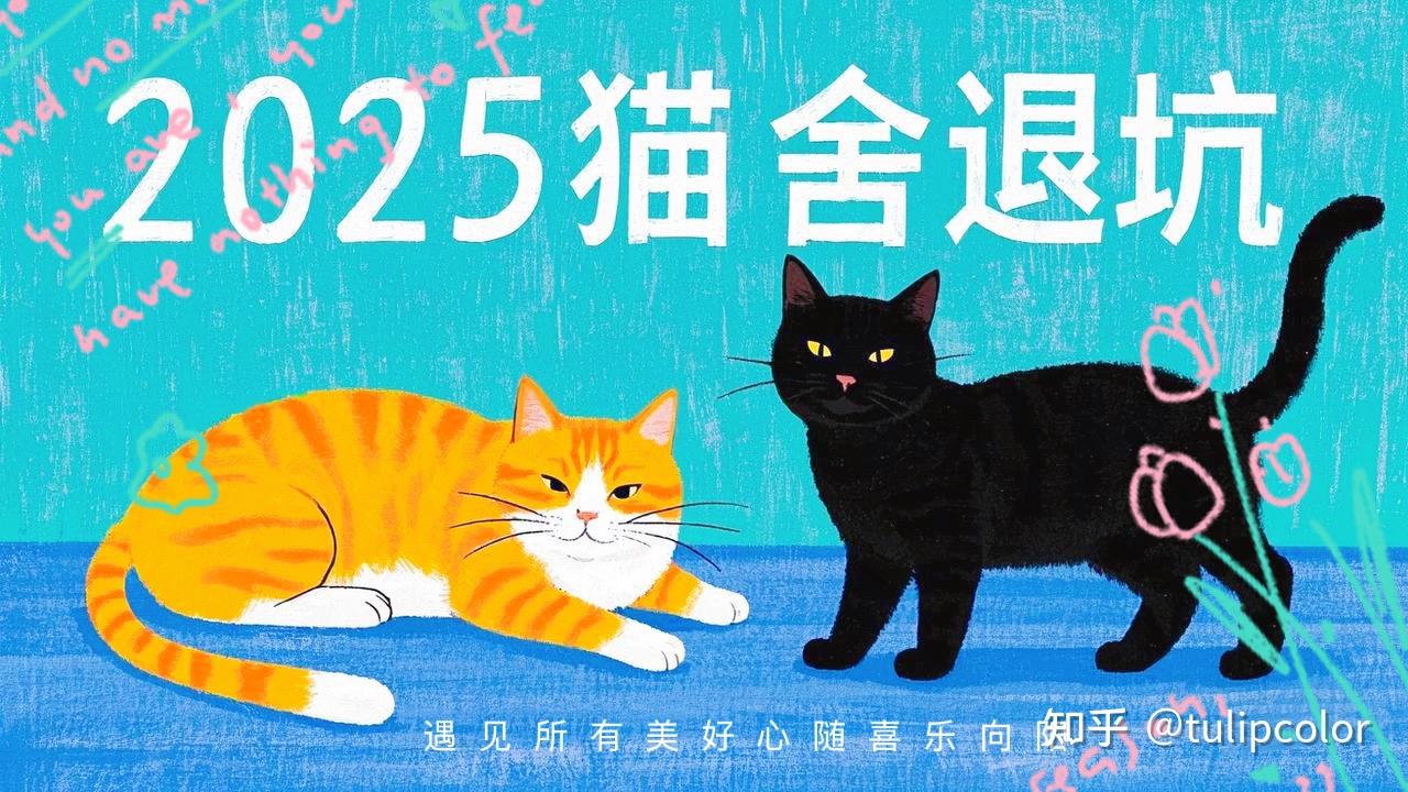 开猫舍是种什么体验? - 知乎