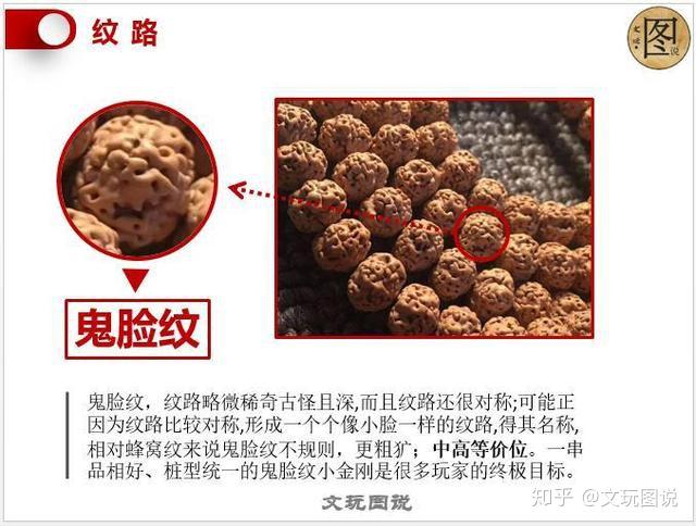 图说丨金刚菩提；金刚知识大全，看图就懂- 知乎