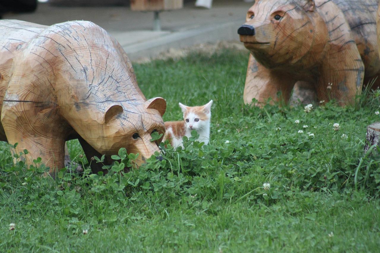 “眼睛亮晶晶”