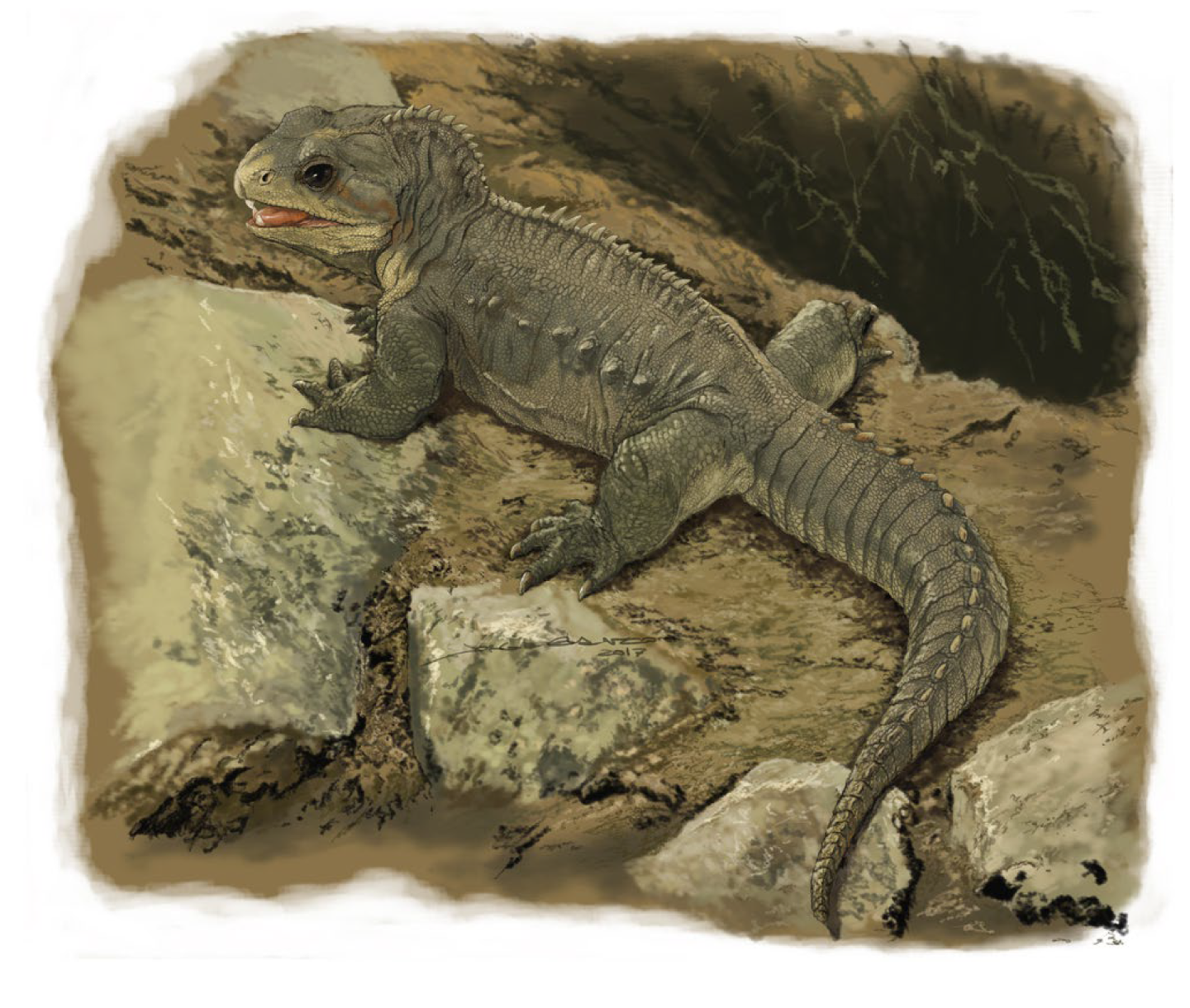 我的种族战斗力很弱一直被欺压偶尔发达几次也很快