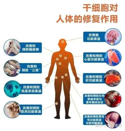 切尔西vs曼联几点
