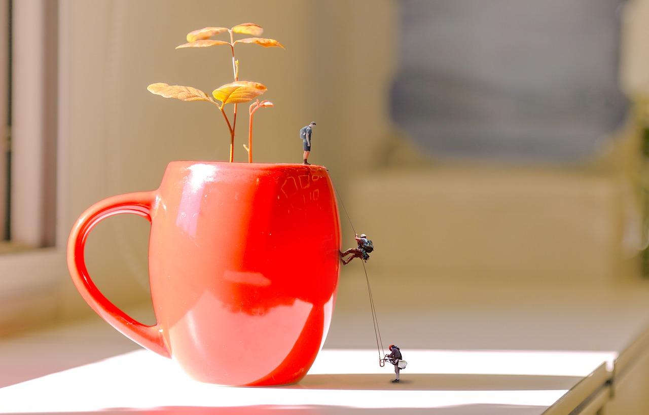 如何堵住花盆底