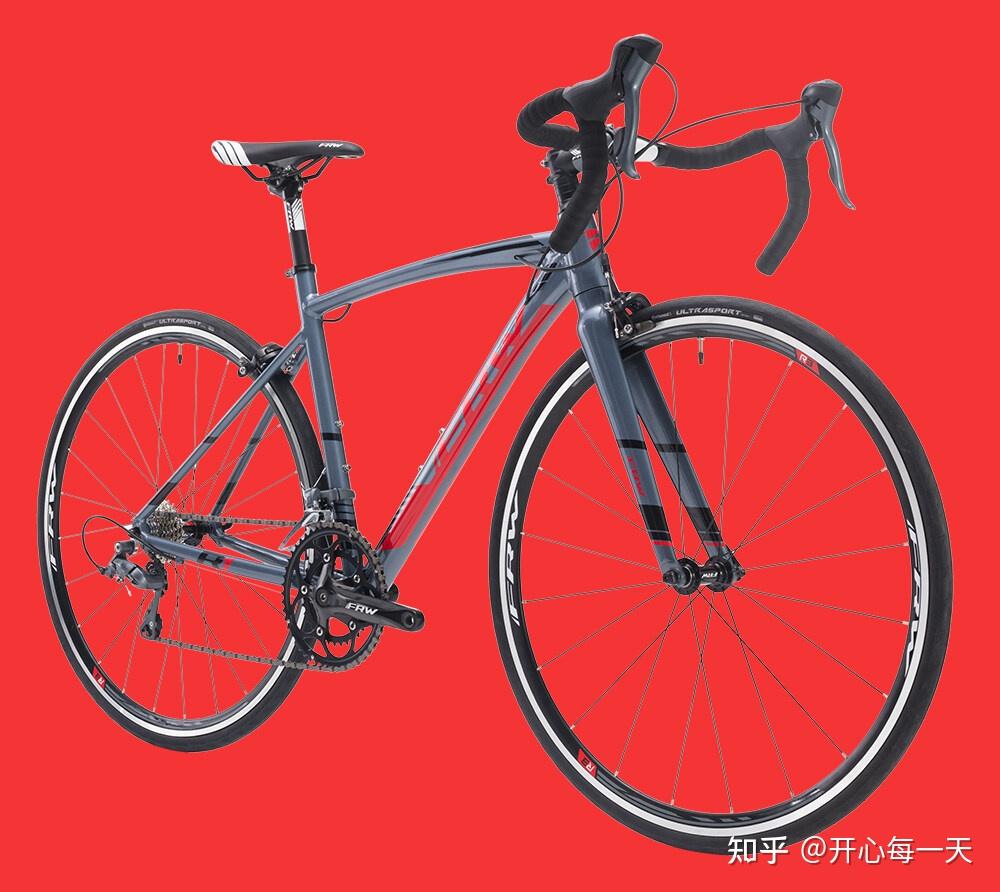 2021世界第一品牌辐轮王土拨鼠碳纤维自行车车架品牌排行榜