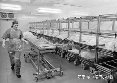 法医学及其主要分支 - 知乎