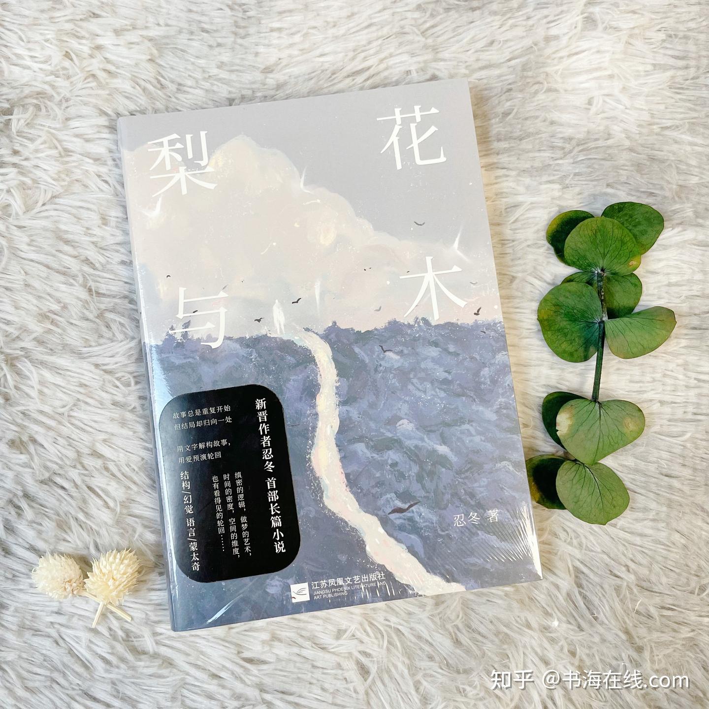 《梨花与木》| 无惧时空束缚，在文字中窥视结局 - 知乎
