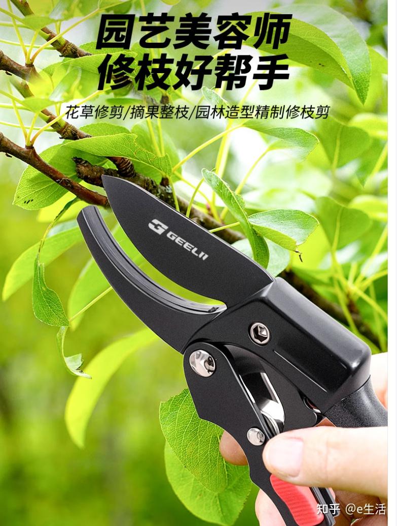 2025年十园林剪刀品牌排名 - 知乎