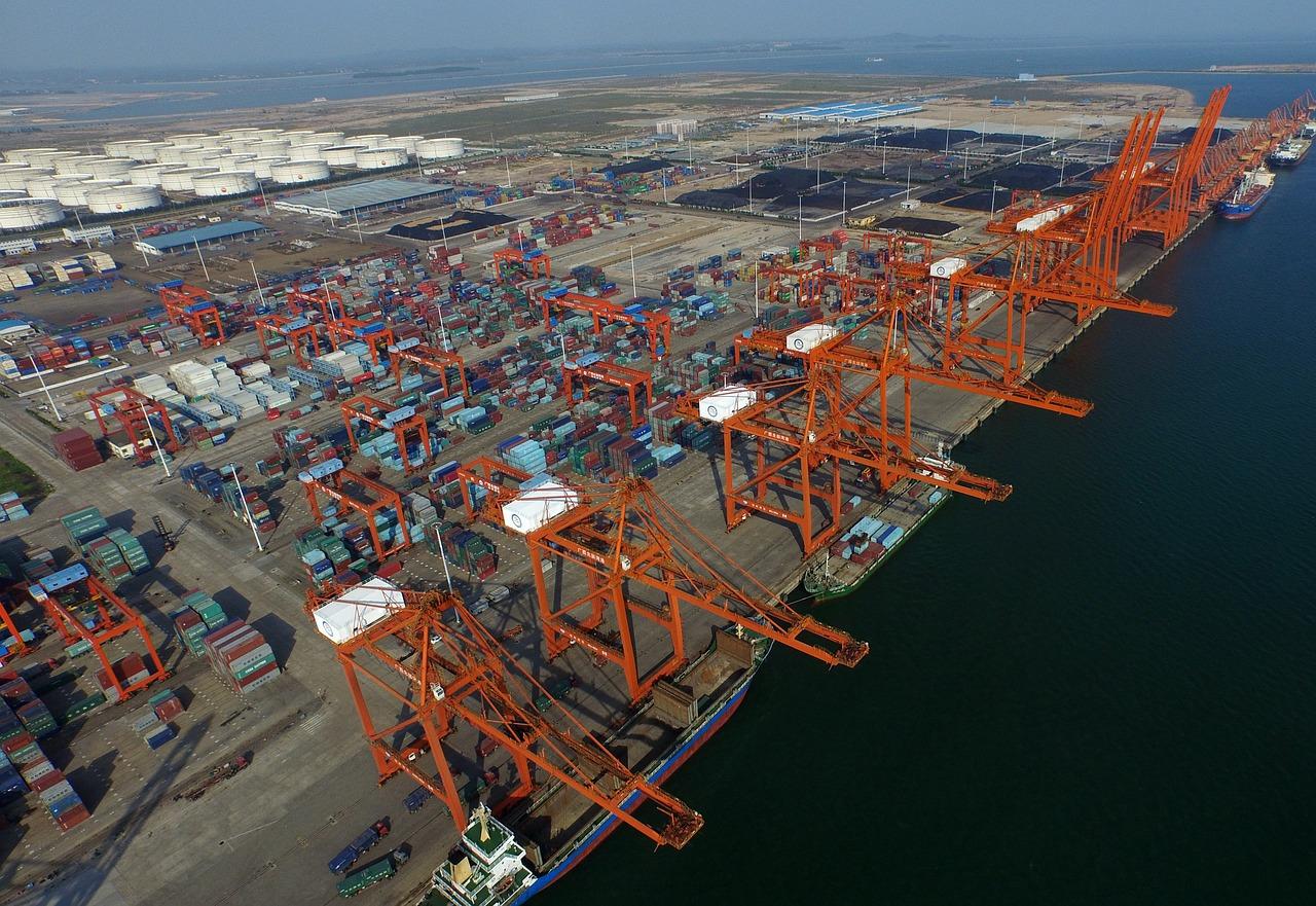 临高海鲜批发市场探秘