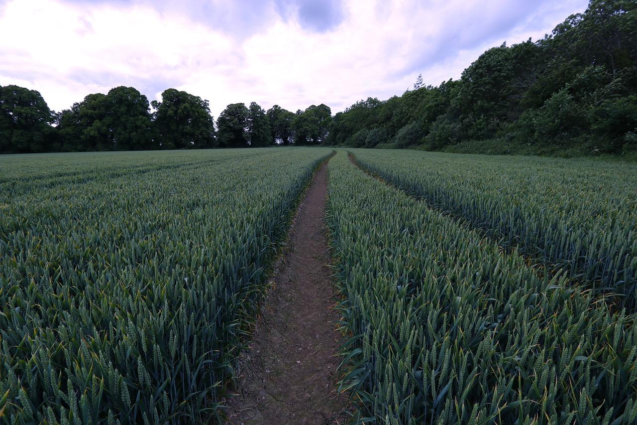 2. 收储流程解析