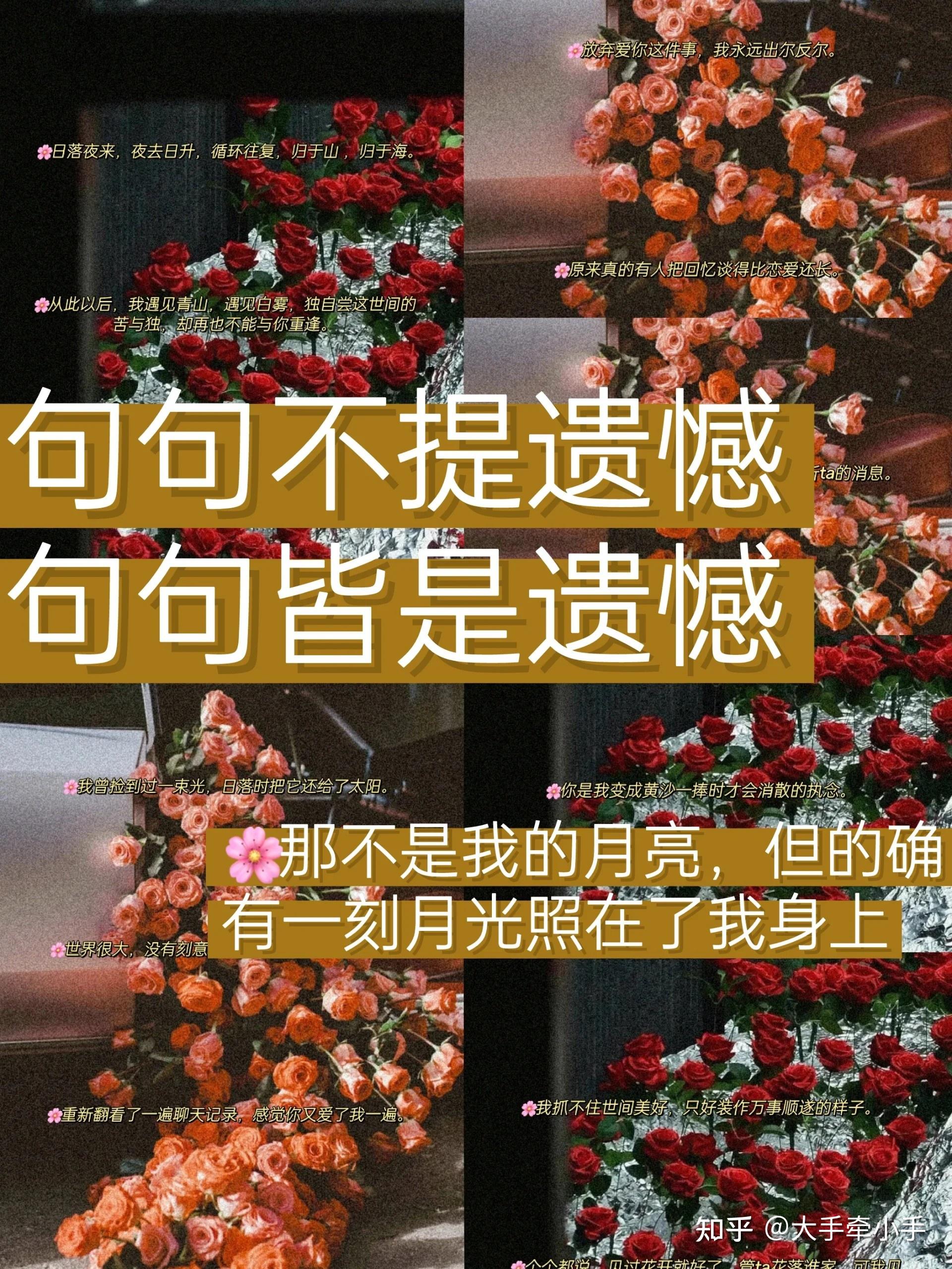 请用一句话写尽遗憾?