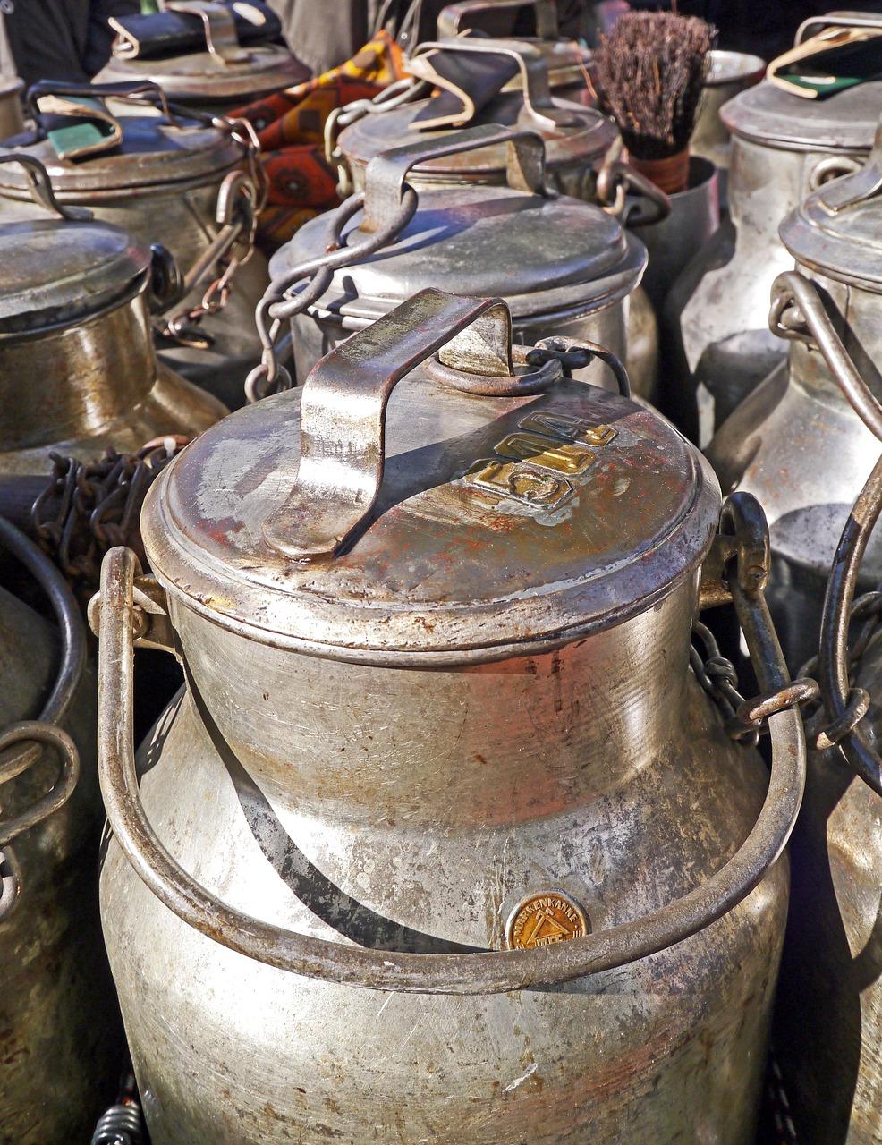 4. 发酵箱品牌对比