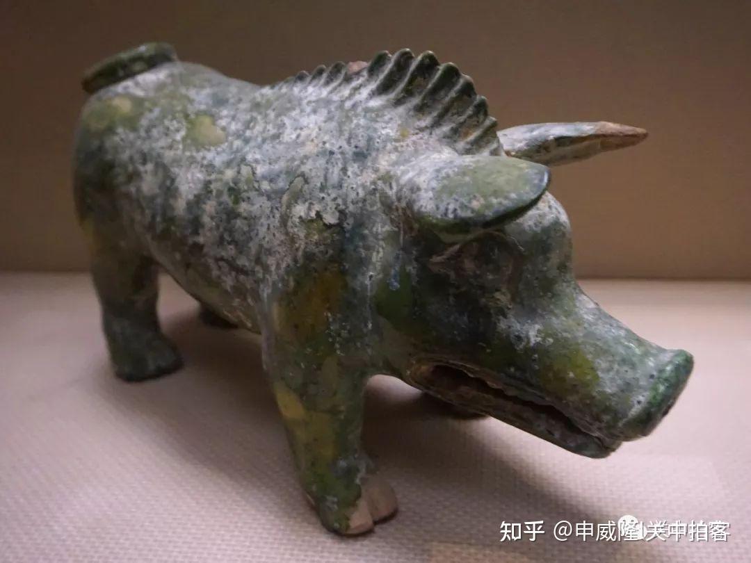 陕西各大博物馆的“猪”文物- 知乎