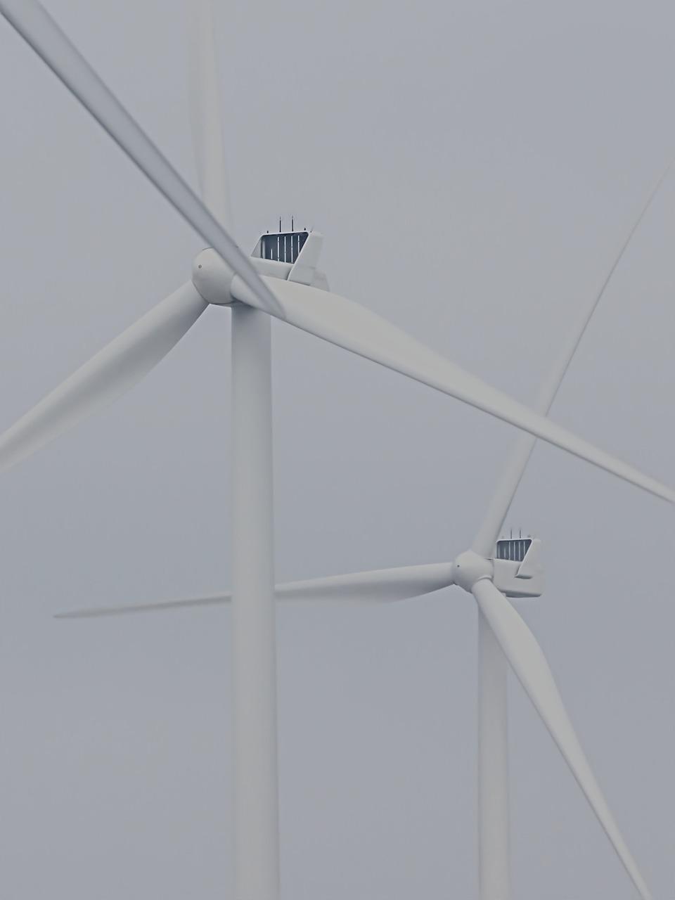 电伴热带是什么