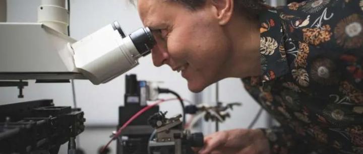 我们如何听到声音？ - 知乎