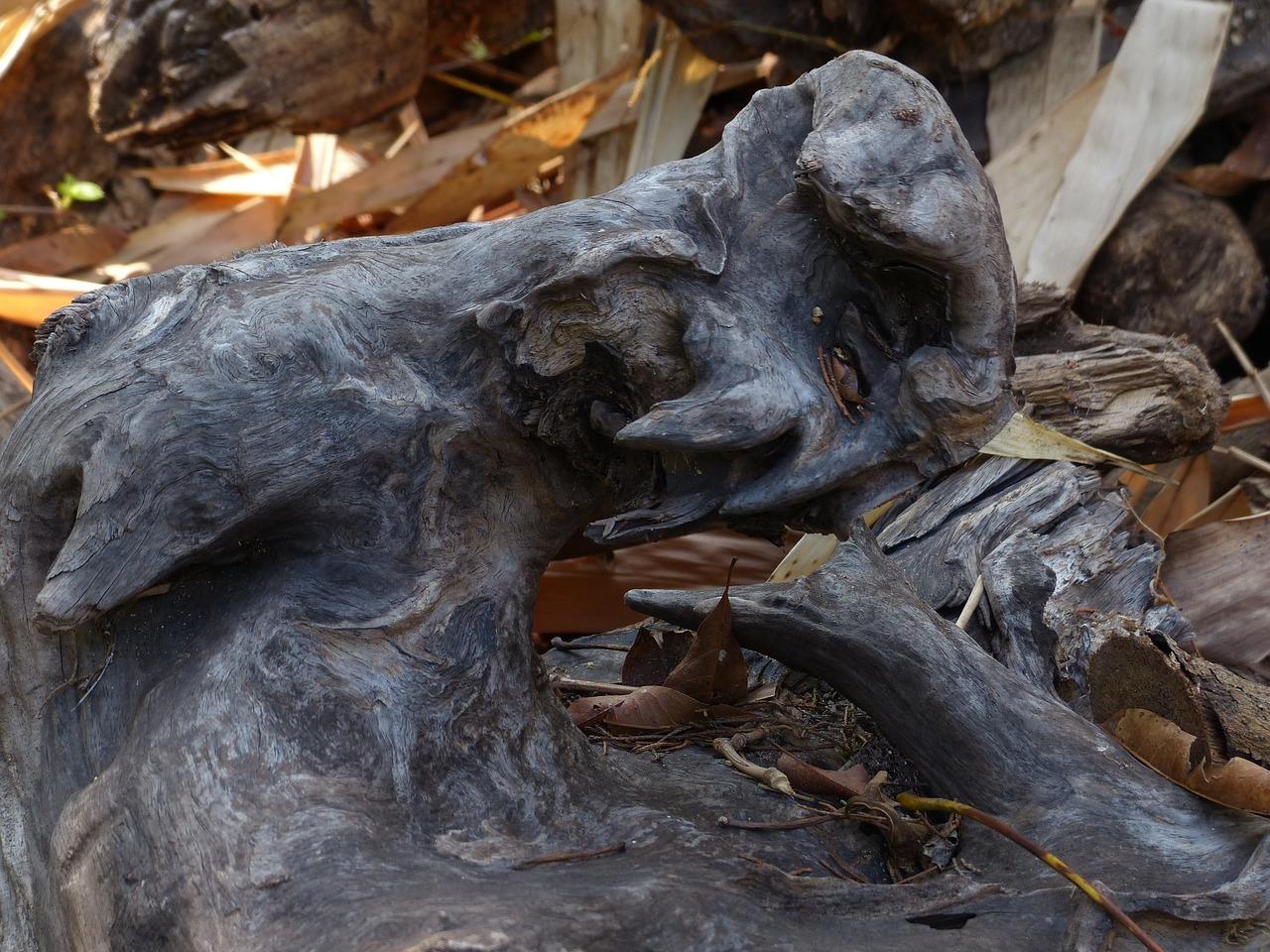 4. 创意造型设计