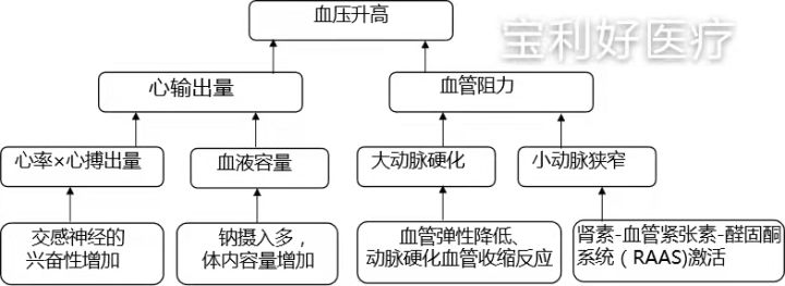 血动图指导高血压精准用药 - 知乎