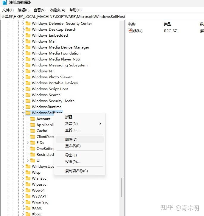  windows dev 