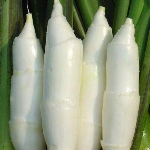 菰 - 知乎