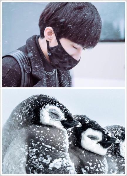 有没有人觉得翟潇闻在模仿郭子凡的路线