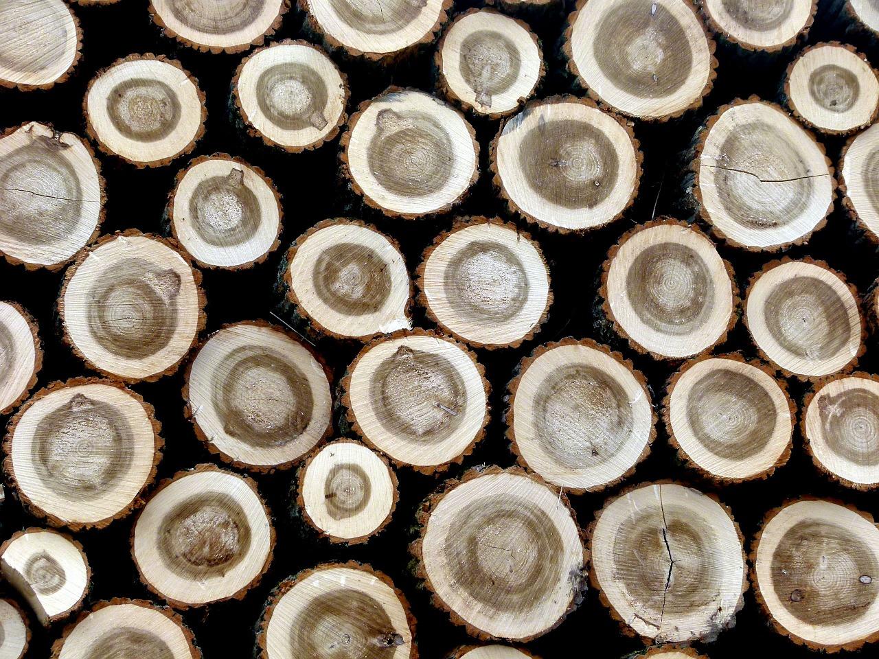 2. 榉木市场价查询