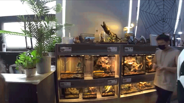 【爬宠爱好者必逛清单】北京探店指南! - 知乎