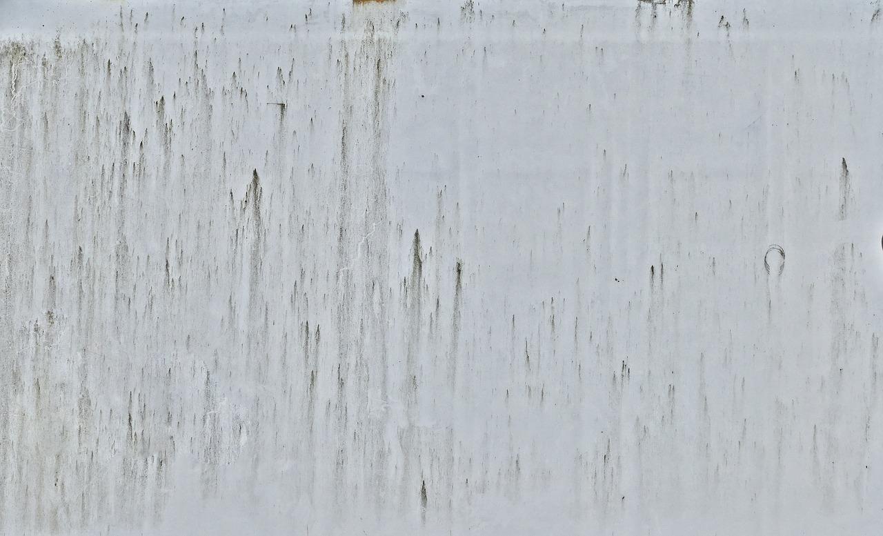 4. 专业修复建议