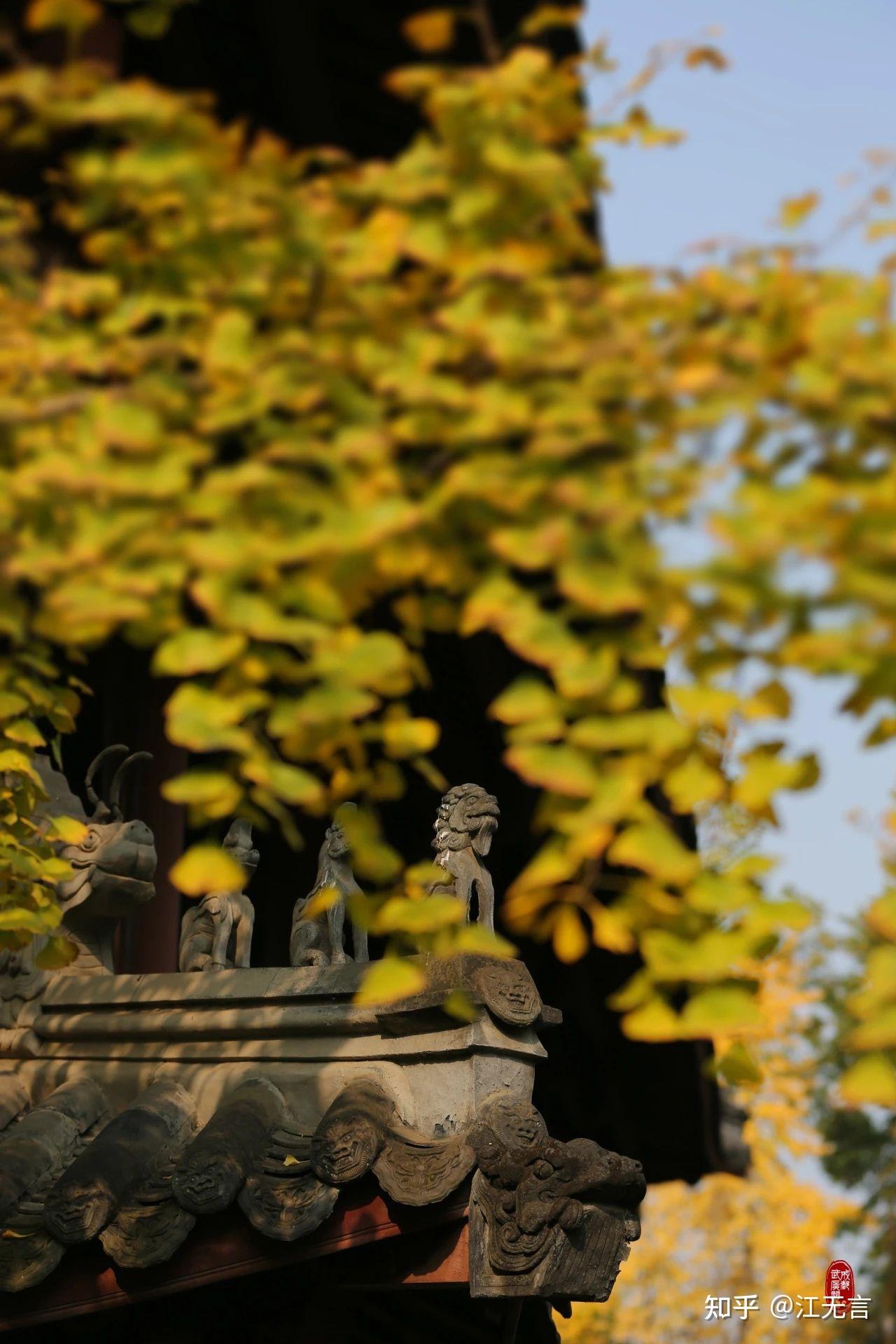 年轻女生天天练武术练24个小时是什么体验? - 知乎