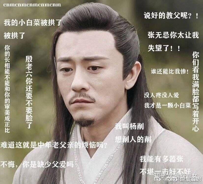 如何评价2019版倚天屠龙记里林雨申饰演的杨逍