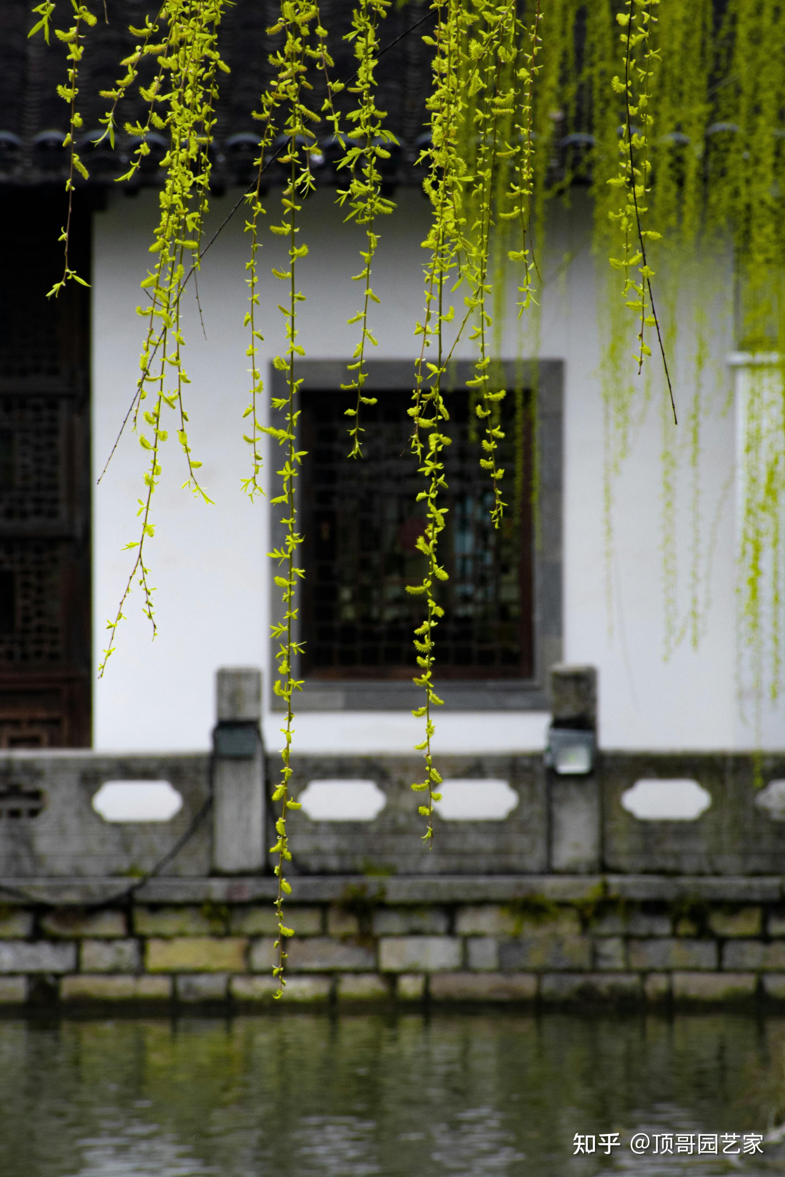 中式庭院,可以代代相传的院子! - 知乎