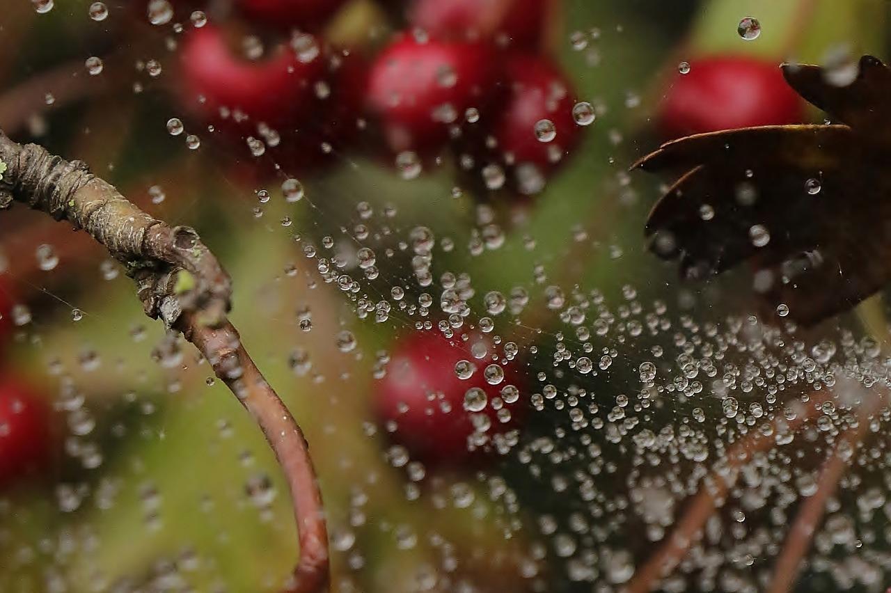 选购装修材料攻略