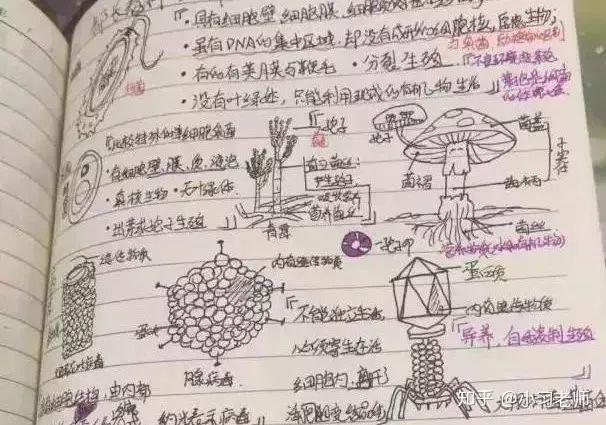 新老师不会讲课和备课怎么办?7种高效备课方法,老师一定要知道 - 知乎