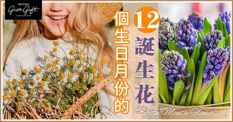 12个生日月份的诞生花 知乎 12个生日月份的诞生花 知乎
