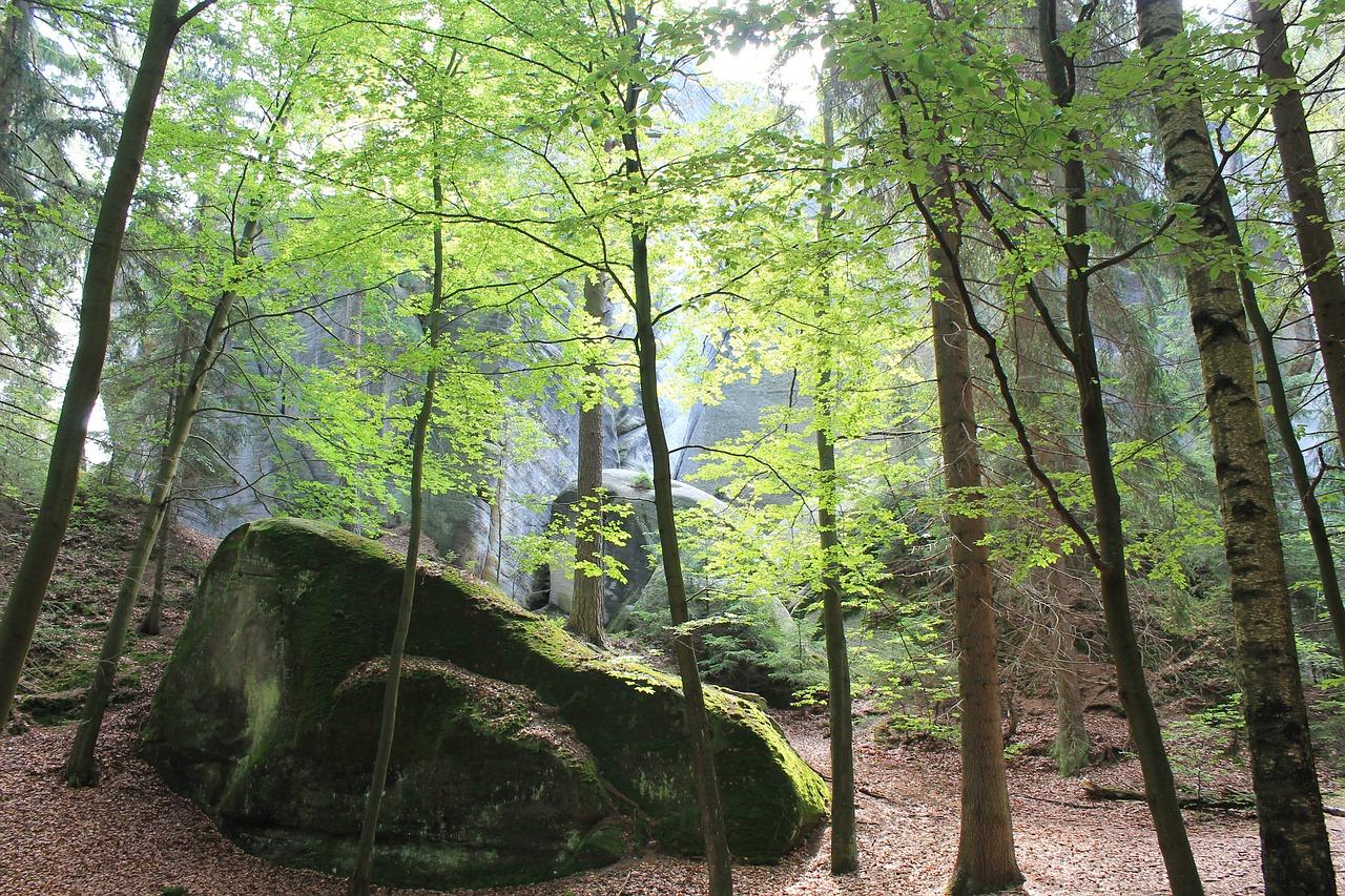 4. 竹海房产升值快