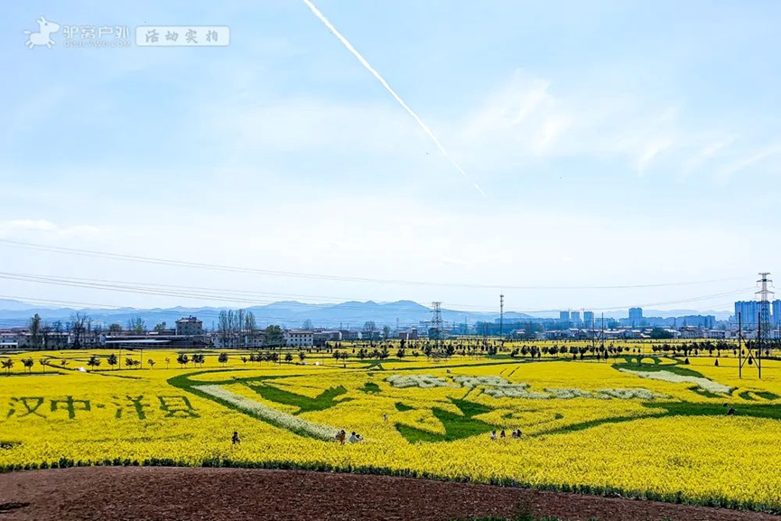 央视点赞!油菜花、梨花竞相绽放!汉中这条赏花线路快收藏 → - 知乎
