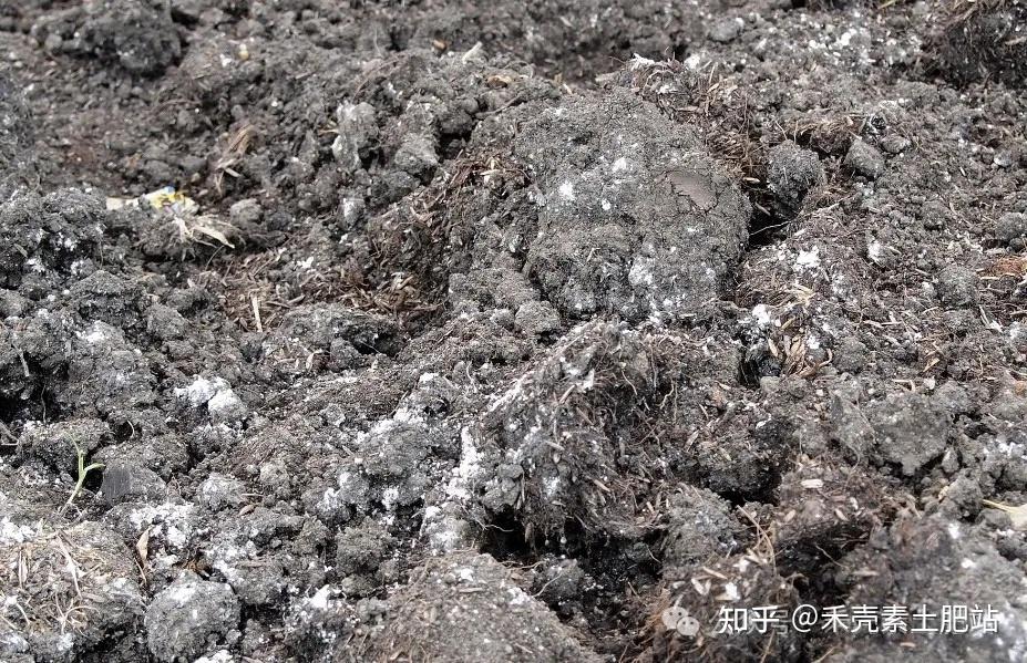 农家肥的智慧:让鸡粪和豆渣从“大恶鬼”变成“宝中宝” - 知乎