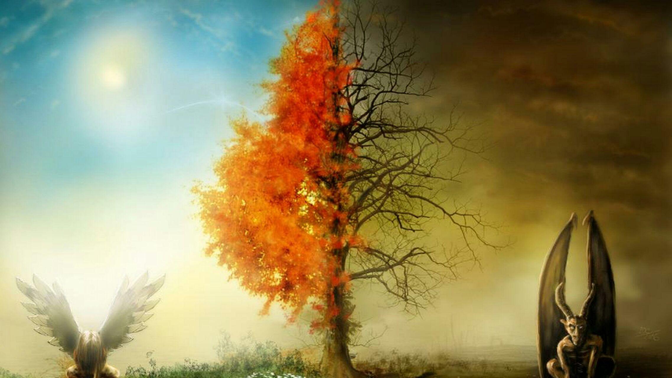 有没有类似这样的上下两个世界的壁纸请分享