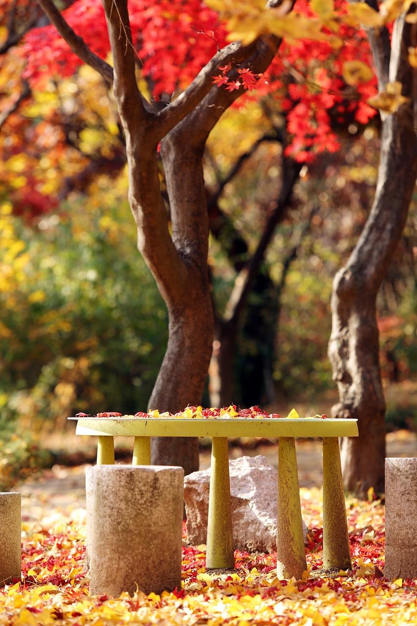 装修预算合理分配