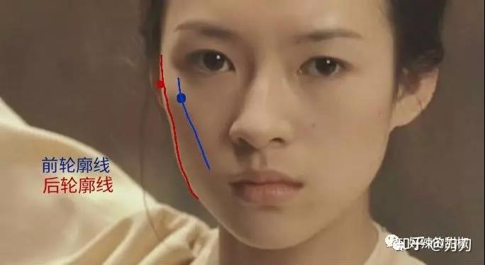 颧骨审美丨优秀的颧骨形状及骨肉比例是怎么长的 - 知乎
