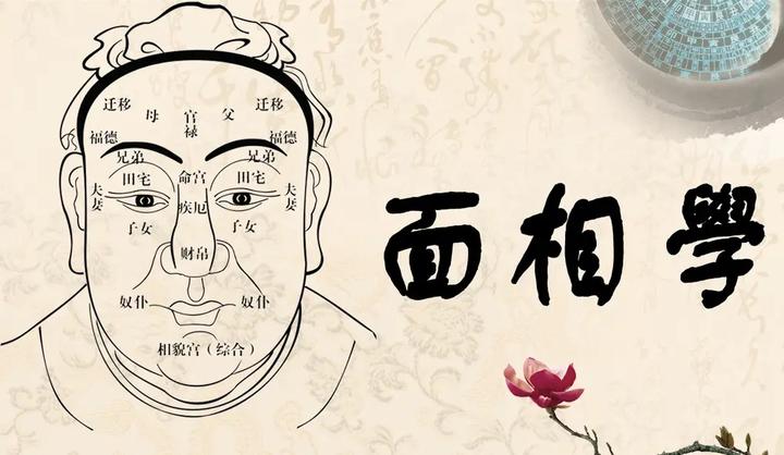 男女痣相图解 - 知乎