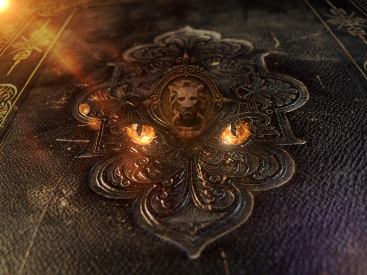 4. 皮沙发清洁步骤