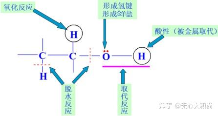 有机化学之醇 - 知乎