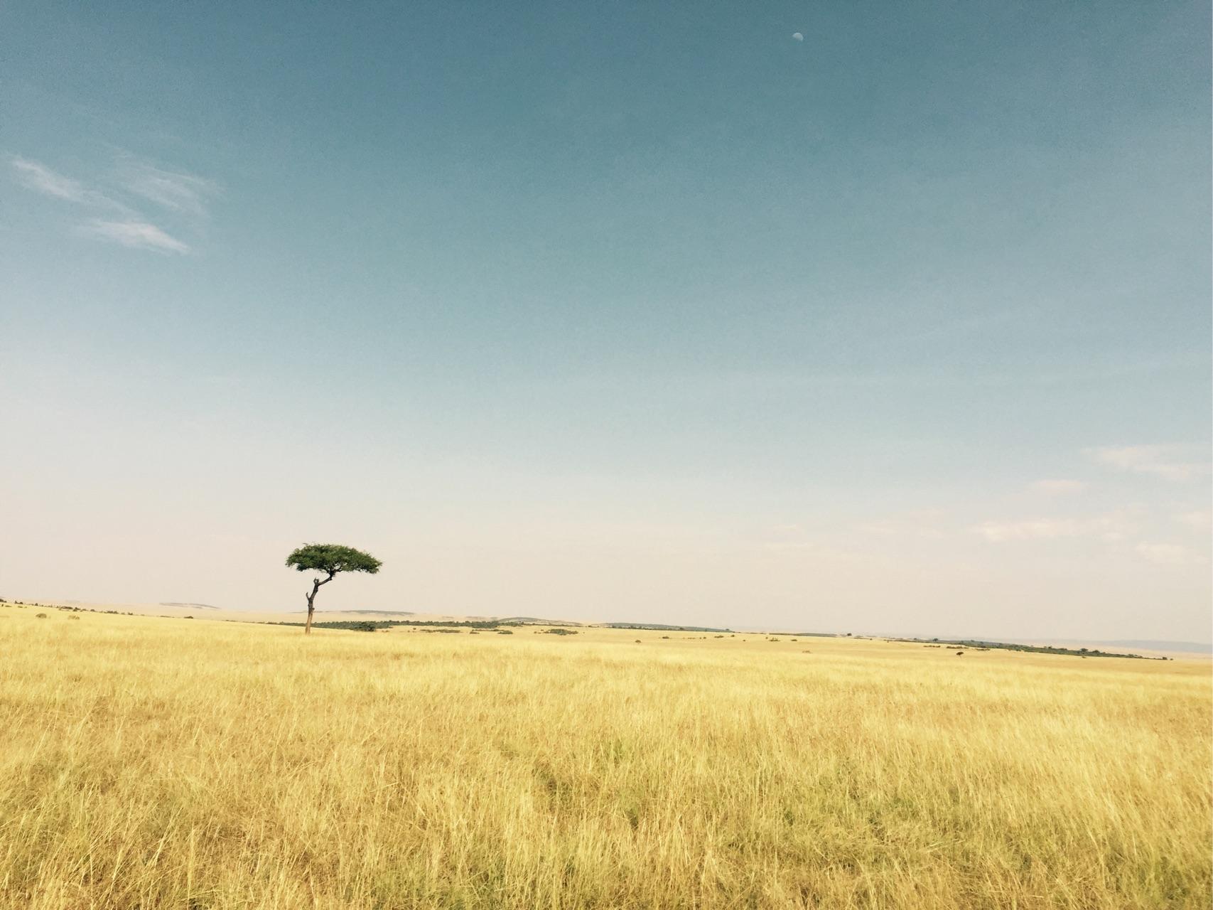 去肯尼亚旅行是一种什么体验?