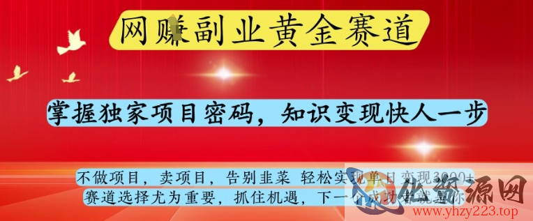 网创副业黄全赛道，掌握独家项目密码，知识变现快人一步，告别韭菜轻松实现单日变现1k+【揭秘】