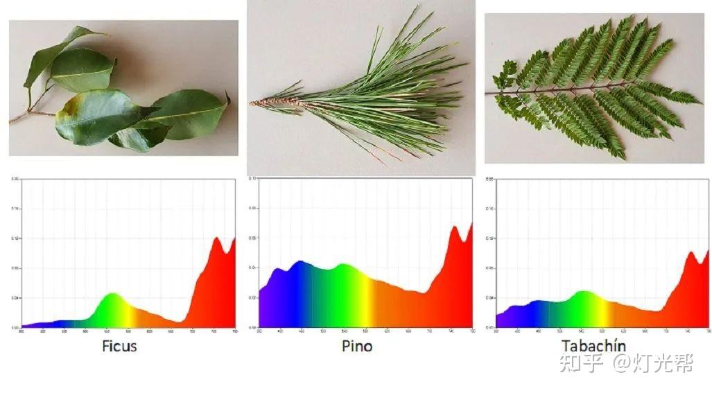 自然光的变化:太阳光的光谱和植物的吸收 - 知乎
