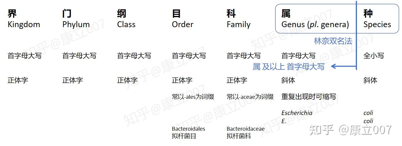 微生物/细菌学名(双名法拉丁文)书写规范-个人简记 - 知乎