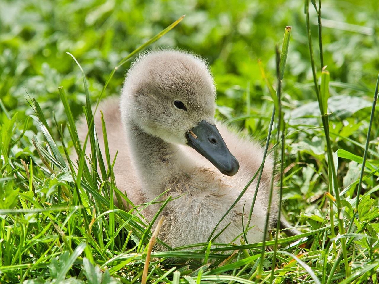 4. 洗涤效果对比