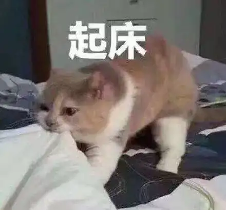 有没有类似于这种刚睡醒的表情包呢？ - 知乎