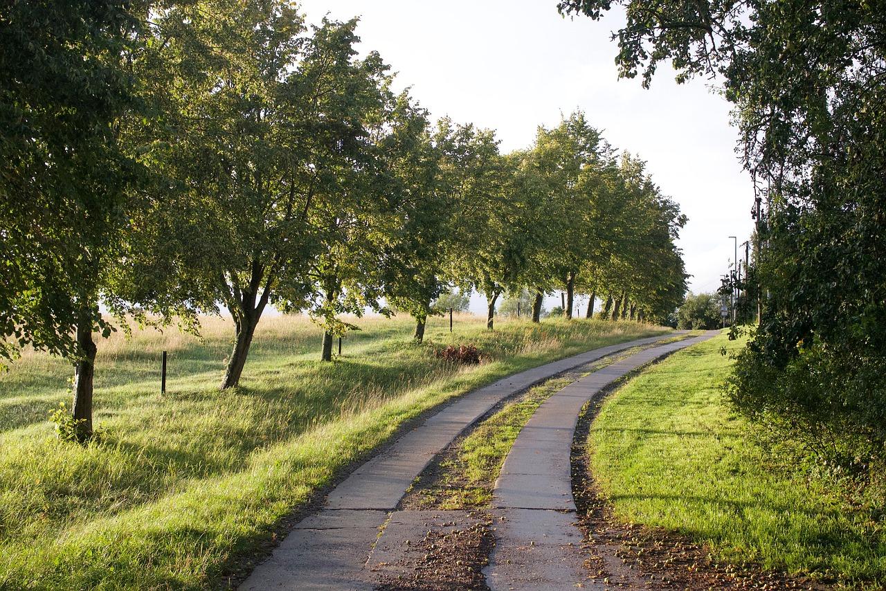 5. 美景大道区域