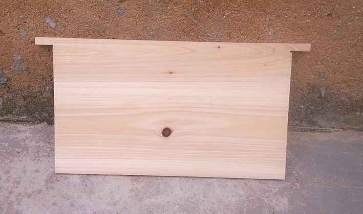 蜜蜂为什么会死在房间 v2-58383ad047121229e1c8a384c0541670_1440w.jpg?source=172ae18b