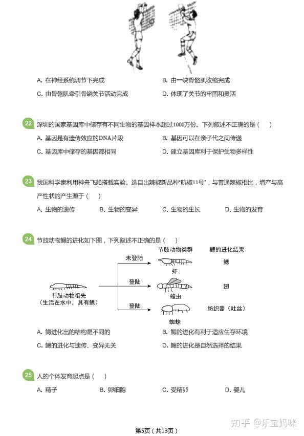 网盘永久存！中考资料包，随时可看的简单介绍