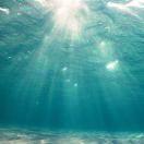 AE、ADR、SAE/SAR、SUSAR到底是什么？ - 知乎